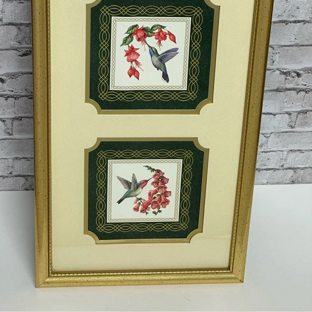 N/A hummingbirds ruby